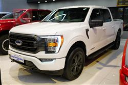 فۆرد F-150